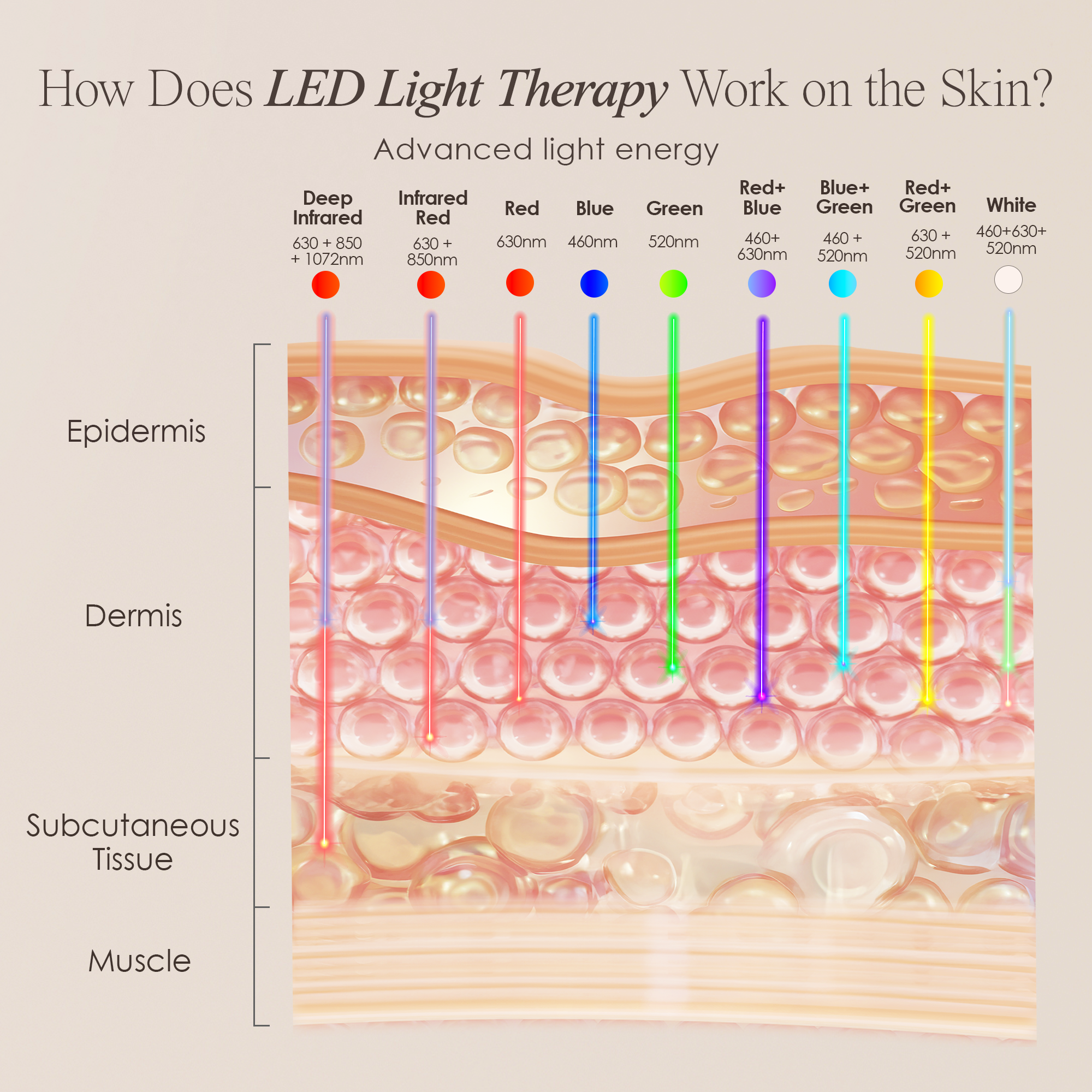 LumaLux Neck & Dec | Pro LED Red Light Therapy Mask